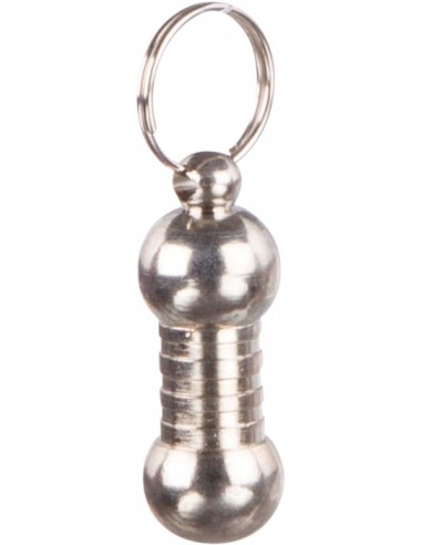 tx2280 dog porta indirizzo in metallo...