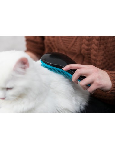 tx24155 spazzola morbida plastica 19cm